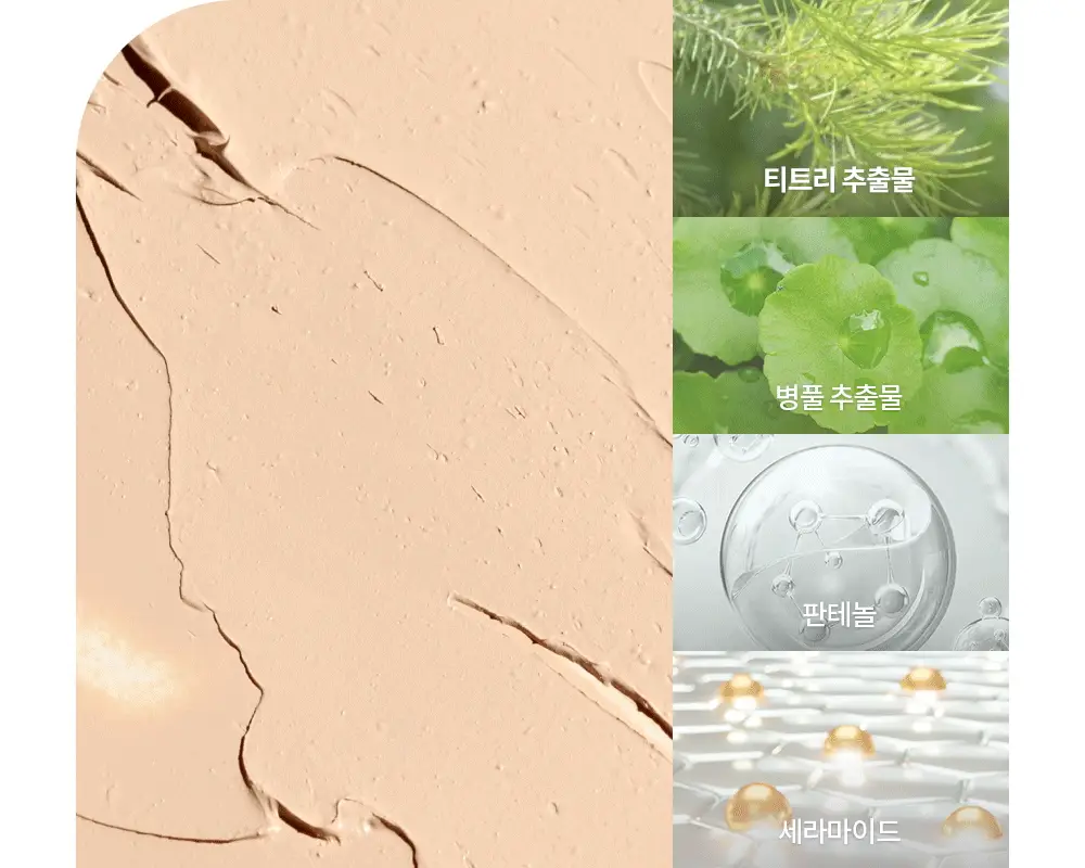 데이지크 프로 컨실러 팔레트 2colors 상세페이지 33