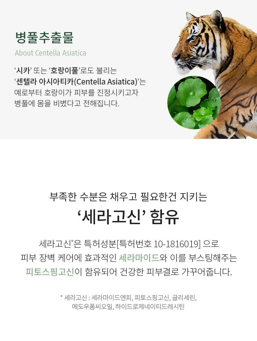 파넬 시카마누 스킨핏 커버 컨실러 5g 2종 택1 상세페이지 17