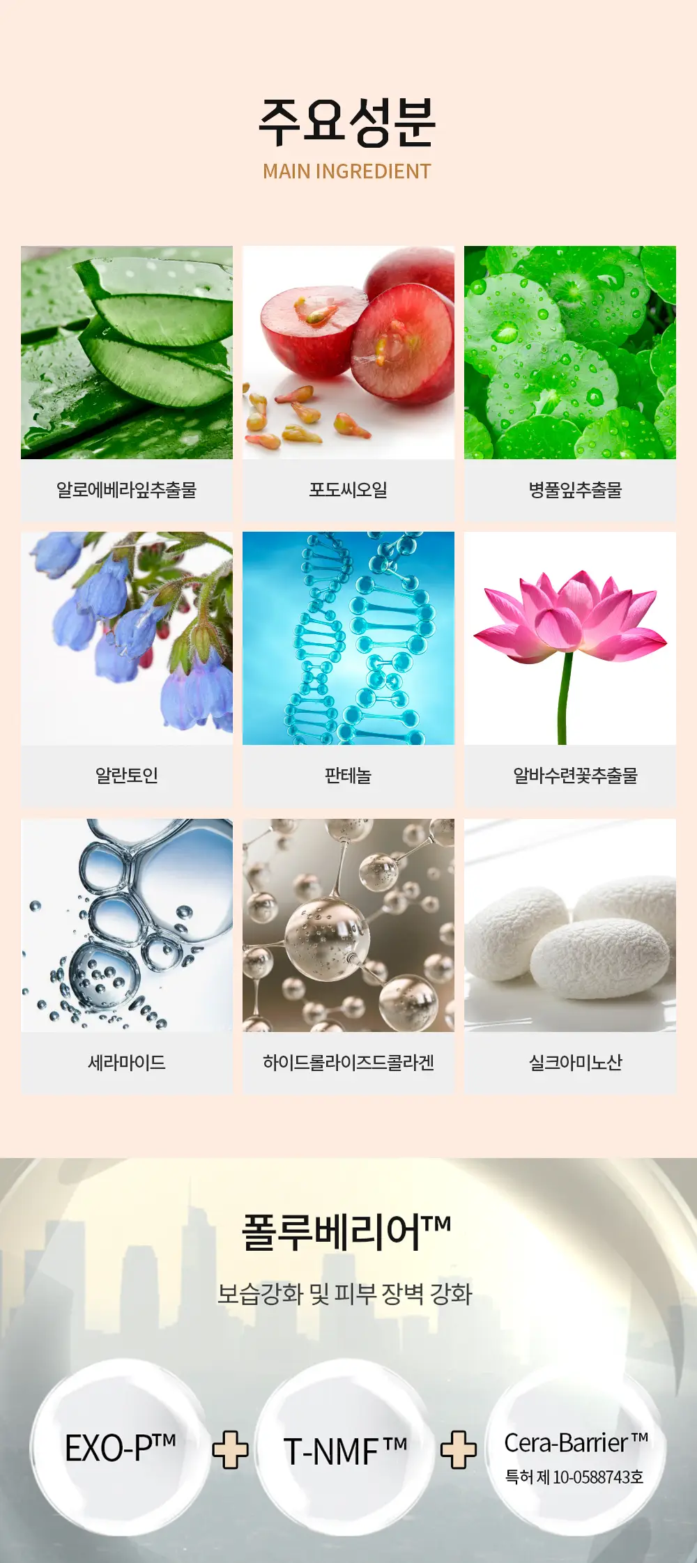 홀리카홀리카 하드커버 리퀴드 컨실러 상세페이지 4
