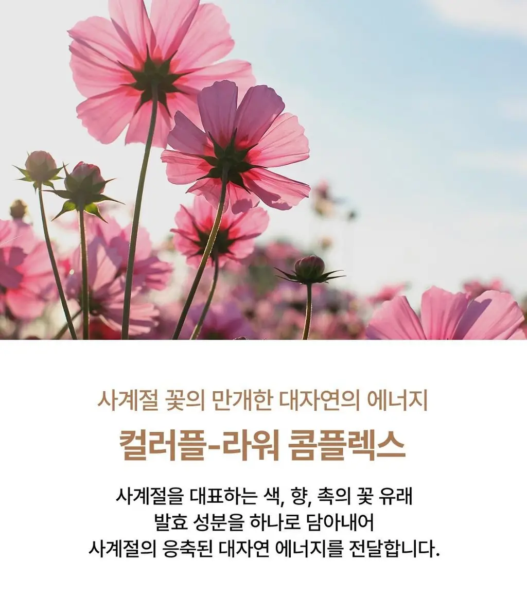 숨37 스킨스테이 소프트 글로우 쿠션 13g 기획 (본품+리필) 상세페이지 13