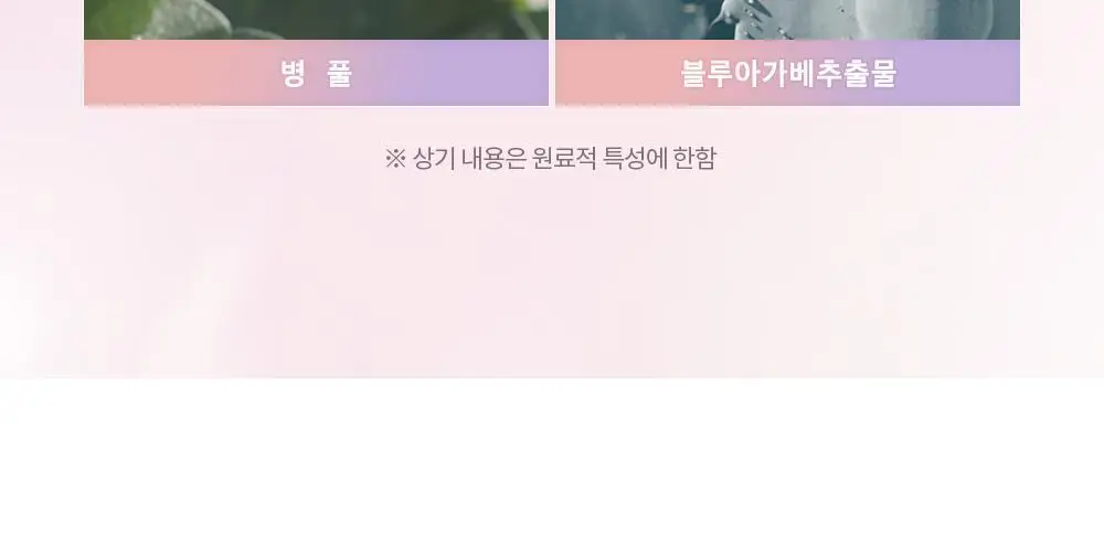 데이지크 코렉팅 피니쉬 파우더 17g 2 colors 상세페이지 15