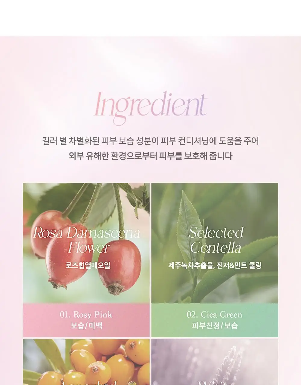 데이지크 코렉팅 선 베이스 4 colors 상세페이지 16