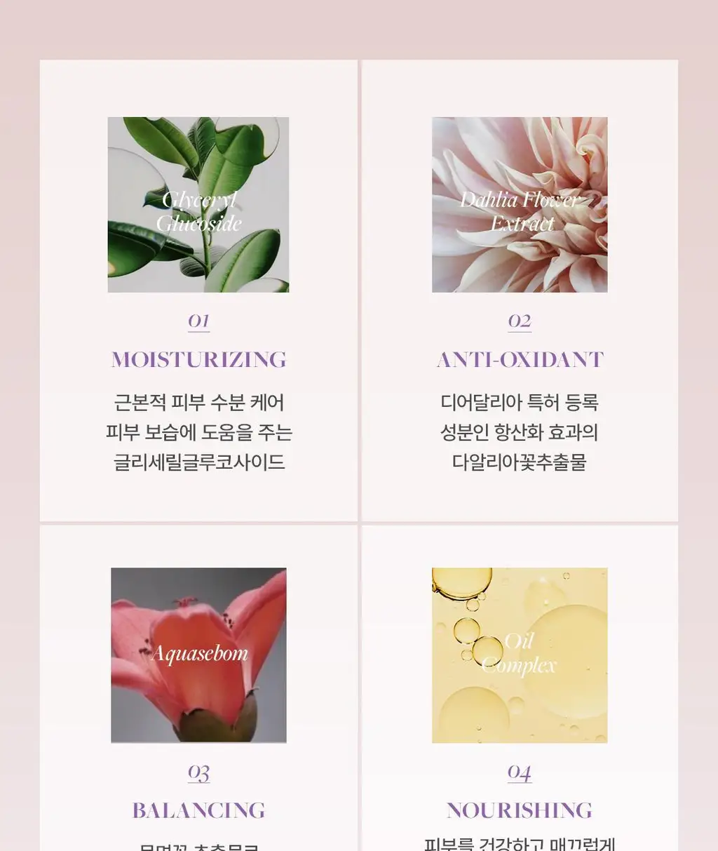 디어달리아 프라임 레이어 프라이머 상세페이지 51