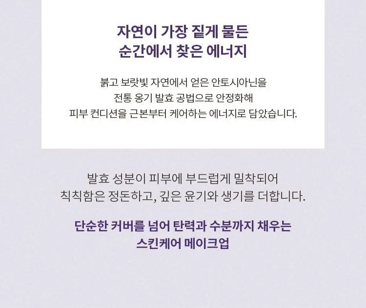 미샤 M 퍼펙트 커버 세럼 비비크림 프로 50ml + 블러셔 증정 상세페이지 9