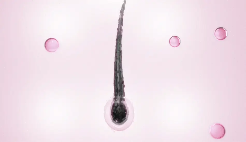 코링코 핑크 콜라겐 파워 아이래쉬 세럼 13ml 상세페이지 13