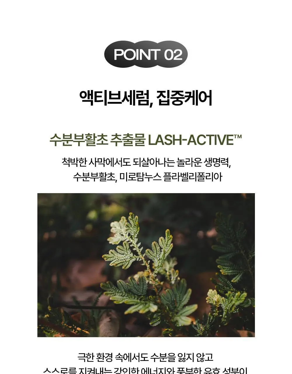 홀리카홀리카 래쉬코렉팅 케어 속눈썹영양제 더블기획(꿀조합/1+1) 상세페이지 17