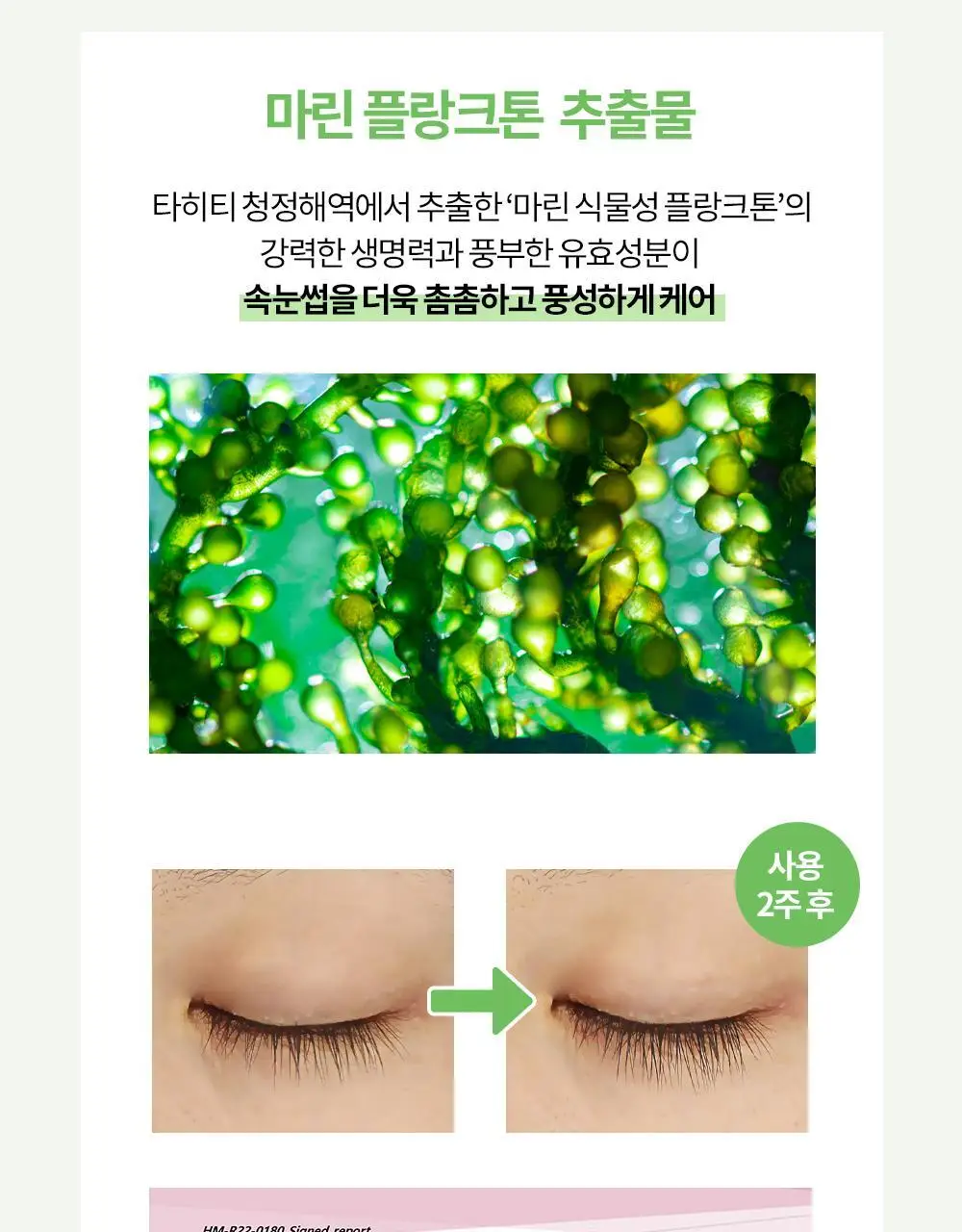 홀리카홀리카 래쉬코렉팅 케어 속눈썹영양제 더블기획(꿀조합/1+1) 상세페이지 34