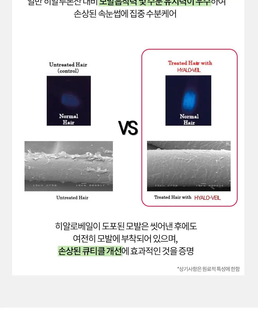 홀리카홀리카 래쉬코렉팅 케어 속눈썹영양제 더블기획(꿀조합/1+1) 상세페이지 43