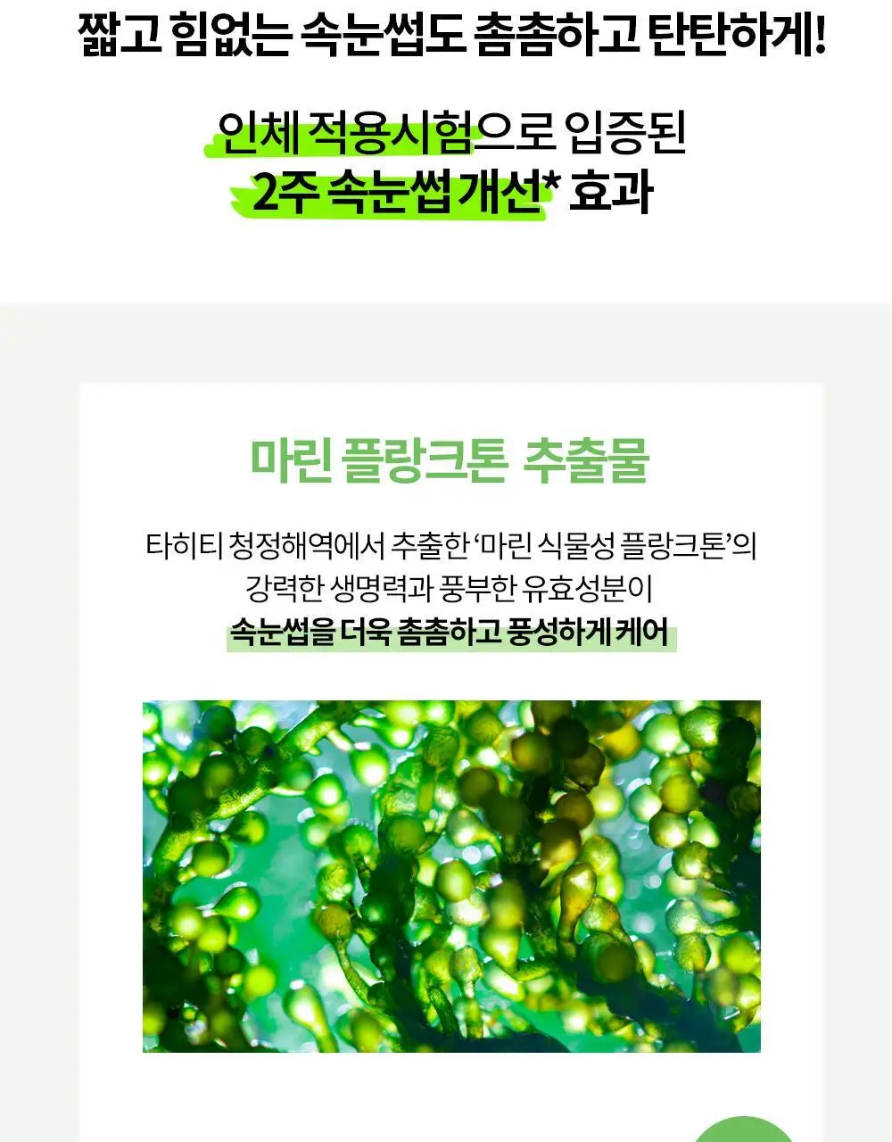 홀리카홀리카 래쉬코렉팅케어 에센셜 세럼 (속눈썹영양제) 상세페이지 13