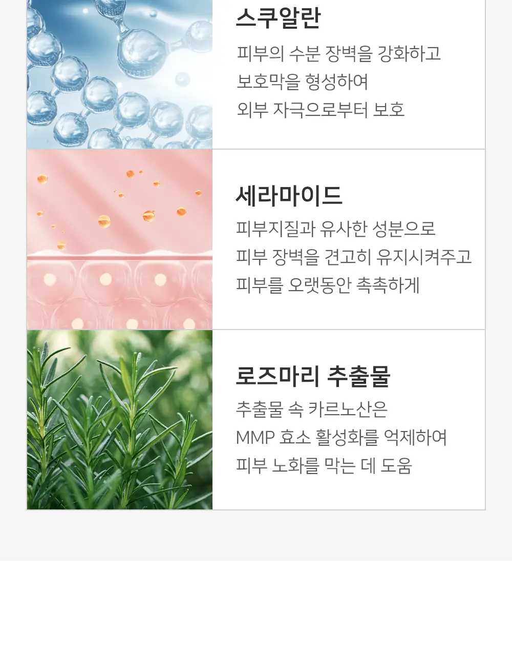 데자뷰 래스팅파인 오토펜슬 상세페이지 13