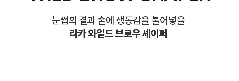 라카 와일드 브로우 셰이퍼 3 colors 상세페이지 5