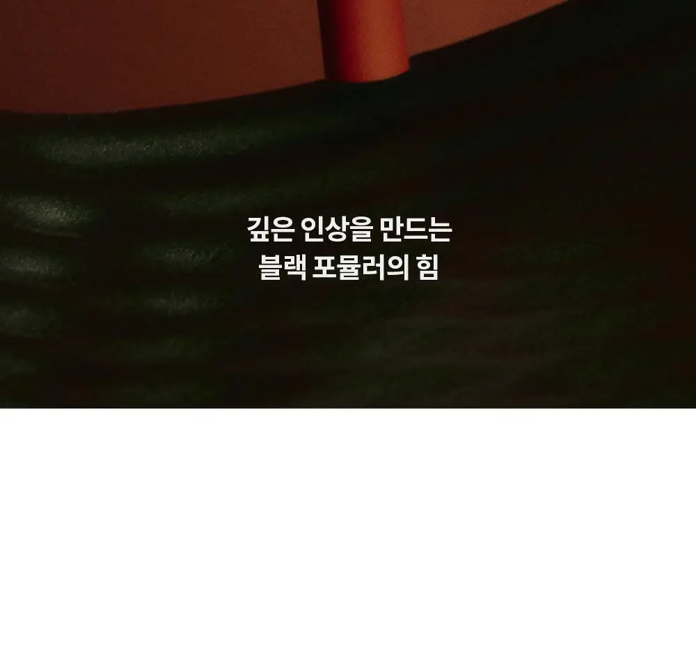 라카 와일드 브로우 셰이퍼 3 colors 상세페이지 19