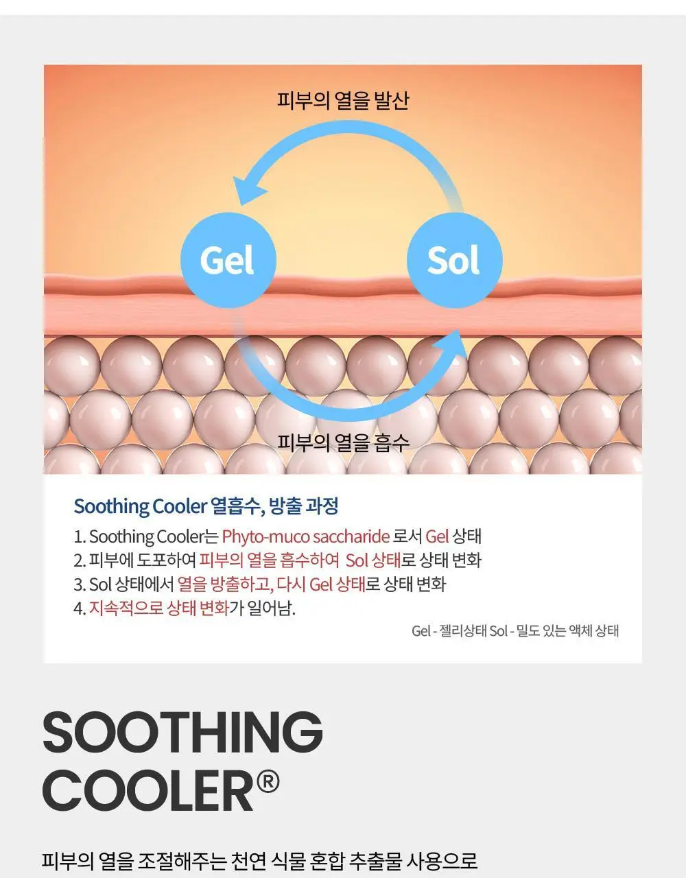 더프트앤도프트 시그니처 퍼퓸 롤온 데오드란트 소피소피 60ml (온) 상세페이지 10