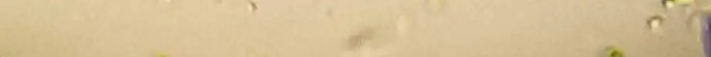 하우스오브밸런스 뉴데이 허브 데오드란트 50ml 상세페이지 6