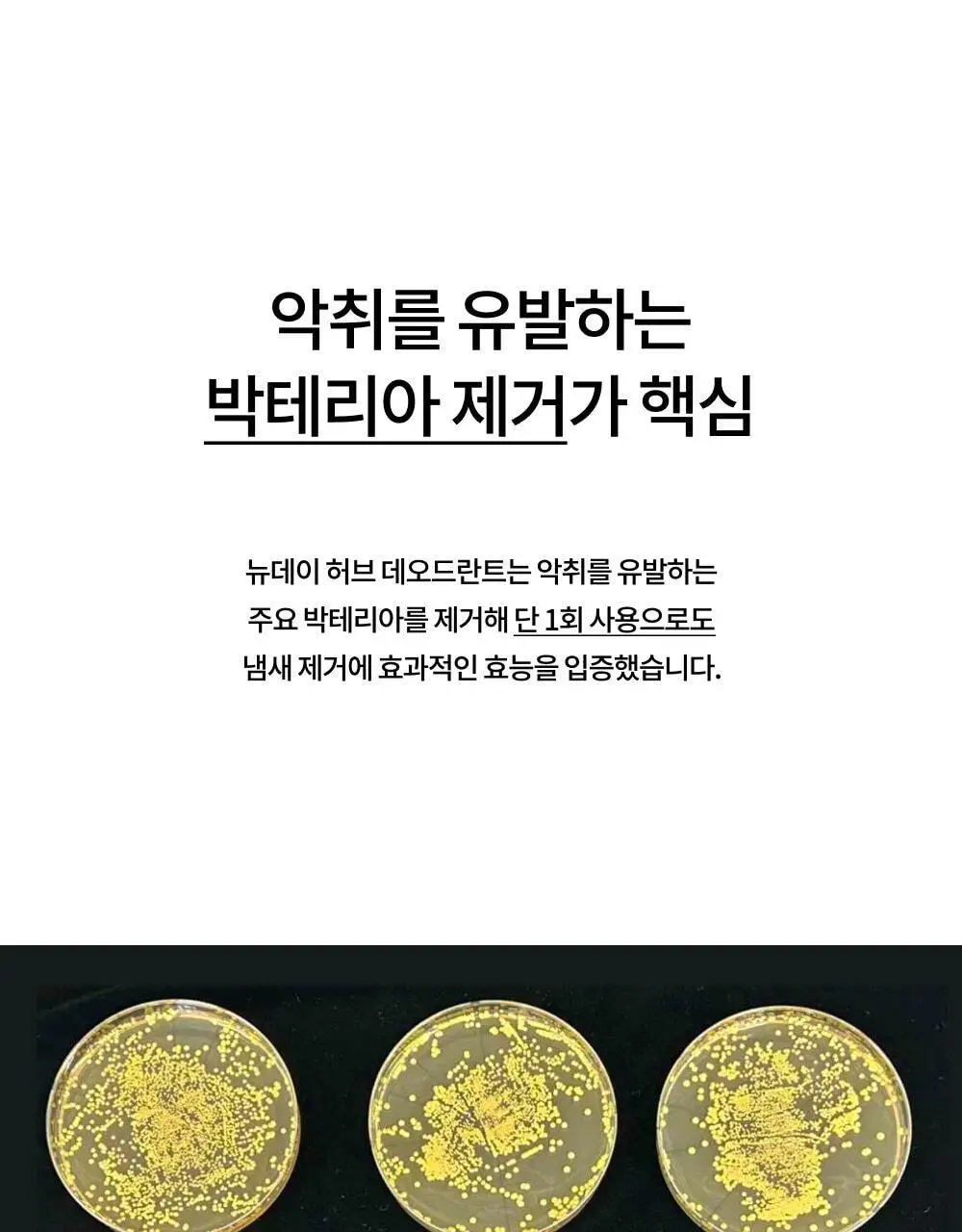 하우스오브밸런스 뉴데이 허브 데오드란트 50ml 상세페이지 8