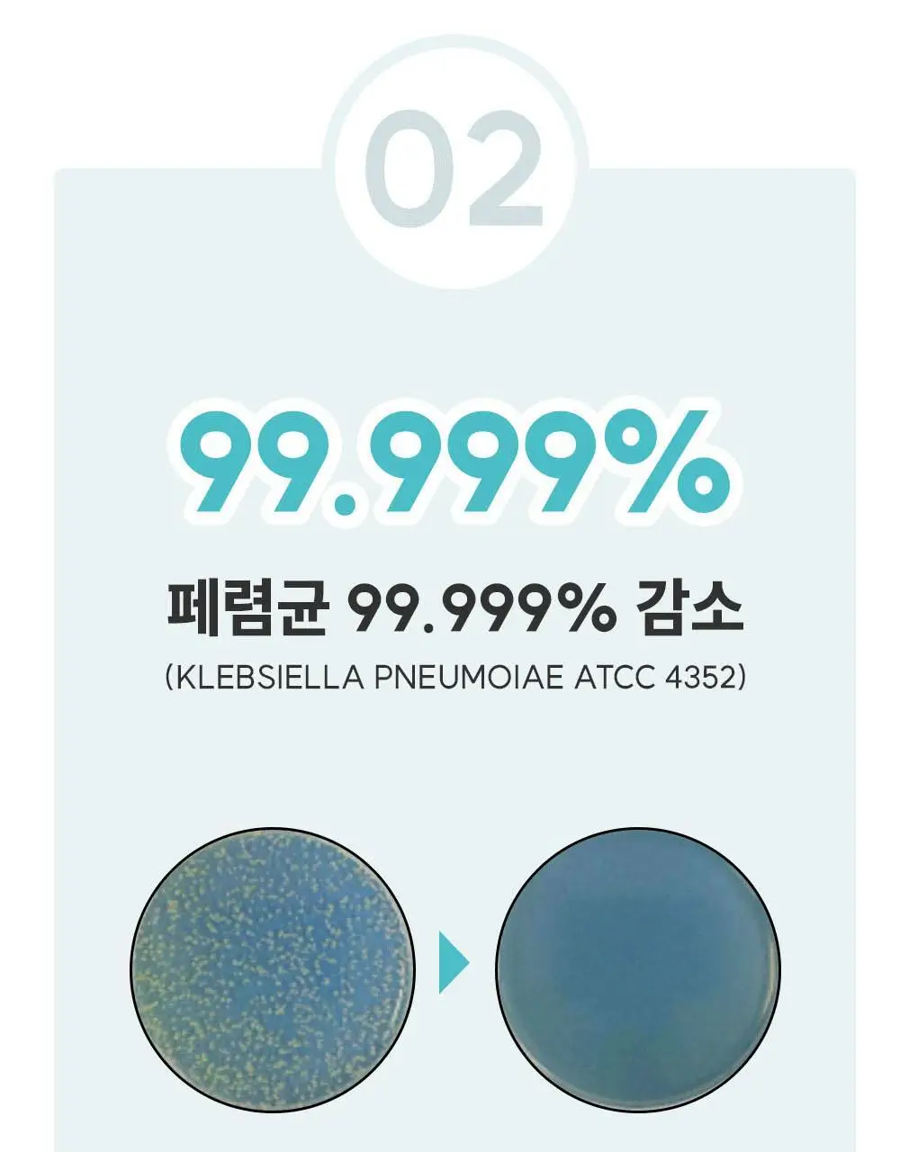 물없이 샤워하는 웻타월 대형10매 1팩 상세페이지 39