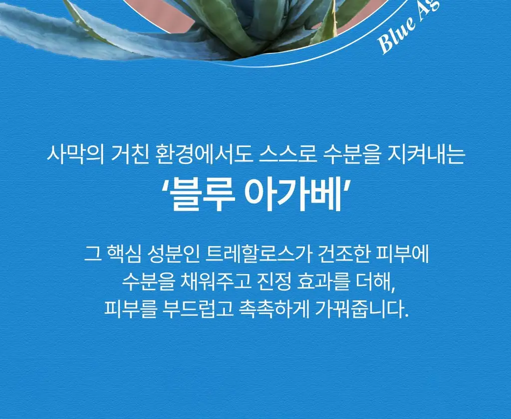닥터바이오 블루 아가베 수딩 젤 200g 상세페이지 16