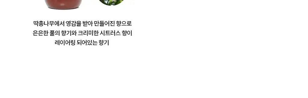라부르켓 바디 로션 240ml 6종 상세페이지 10