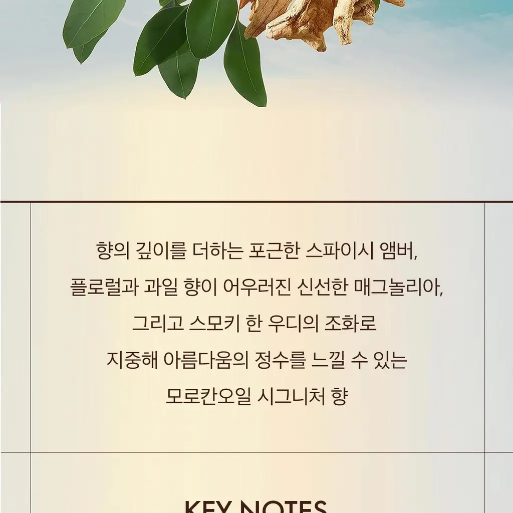 모로칸오일 바디로션 프래그런스 오리지널 360ml 상세페이지 11