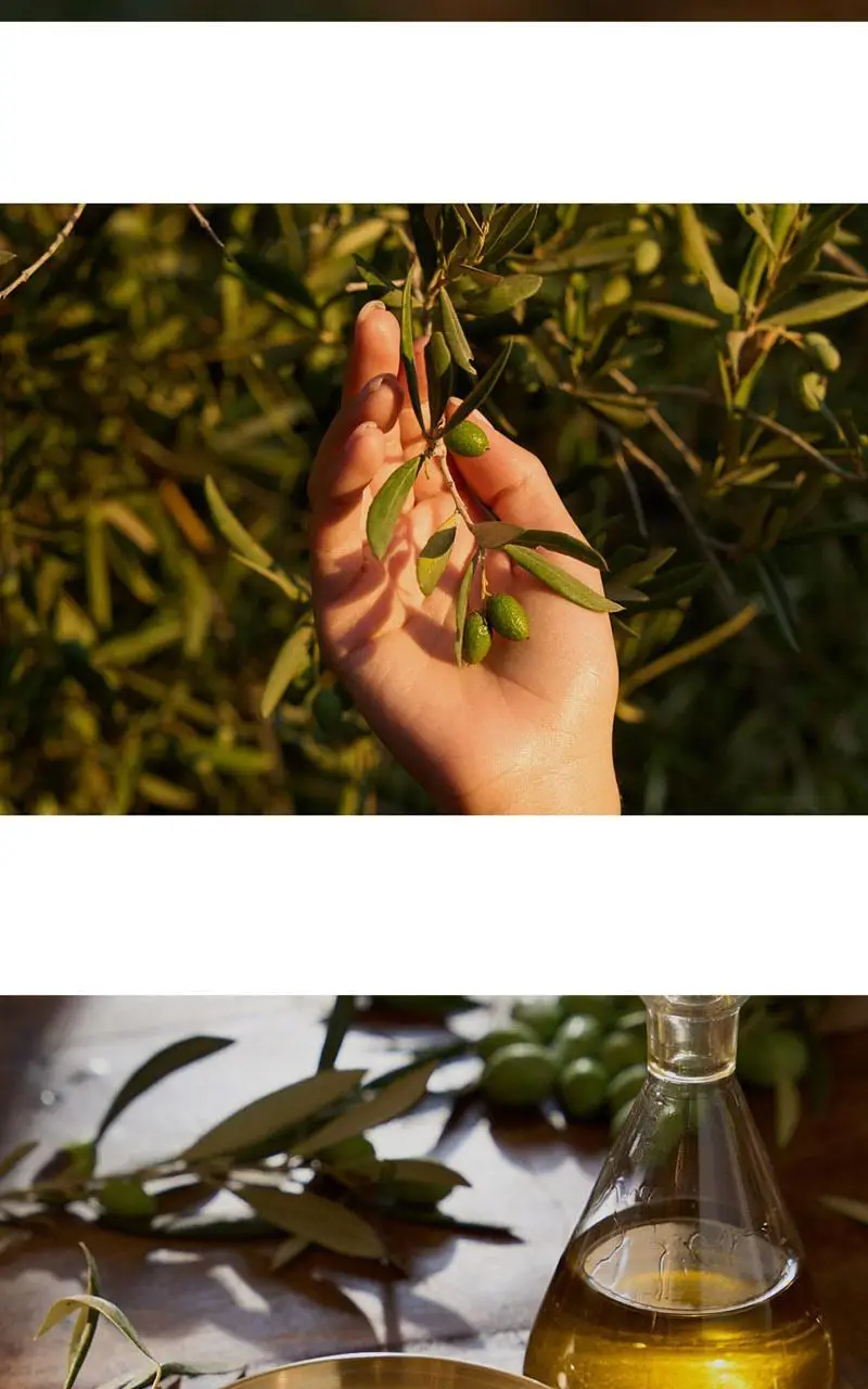 사봉 컴포팅 시카 크림 200ml 올리브 블리스 상세페이지 5