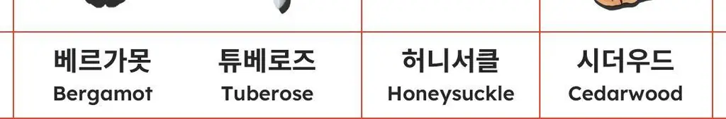 스카이보틀 퍼퓸 바디로션 300ml 4종 상세페이지 6