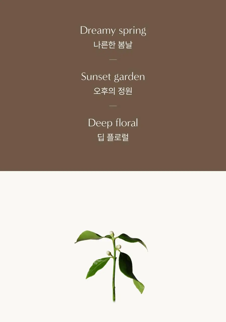 아로마티카 임브레이스 바디로션 네롤리&패츌리 300ml 상세페이지 3