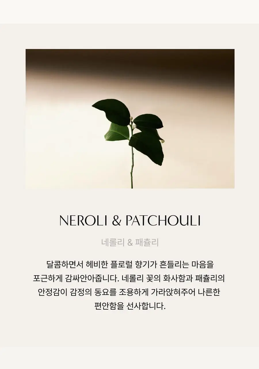 아로마티카 임브레이스 바디로션 네롤리&패츌리 300ml 상세페이지 5