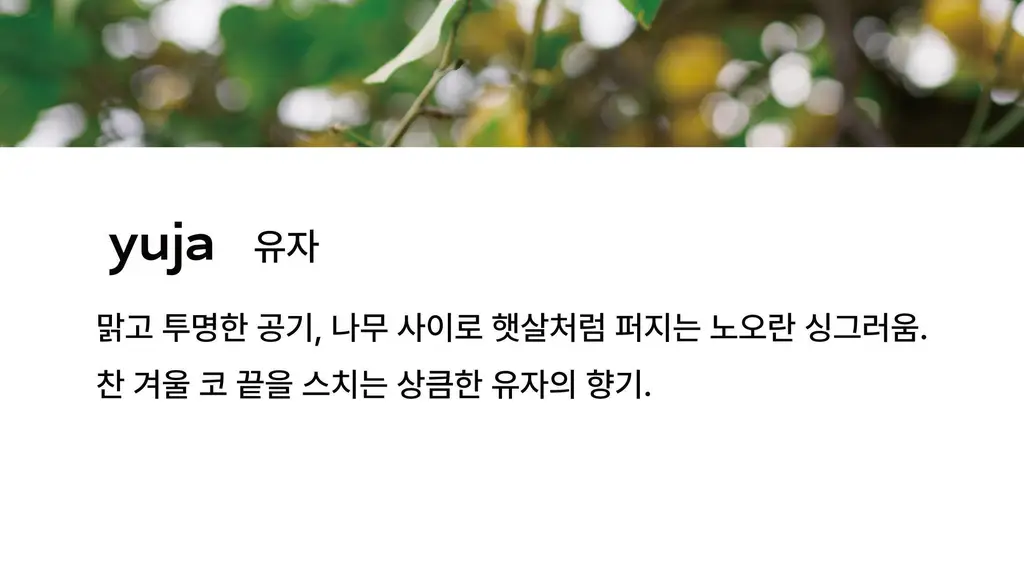 아르베 유자 글로우 바디 에멀전 250ml 상세페이지 6