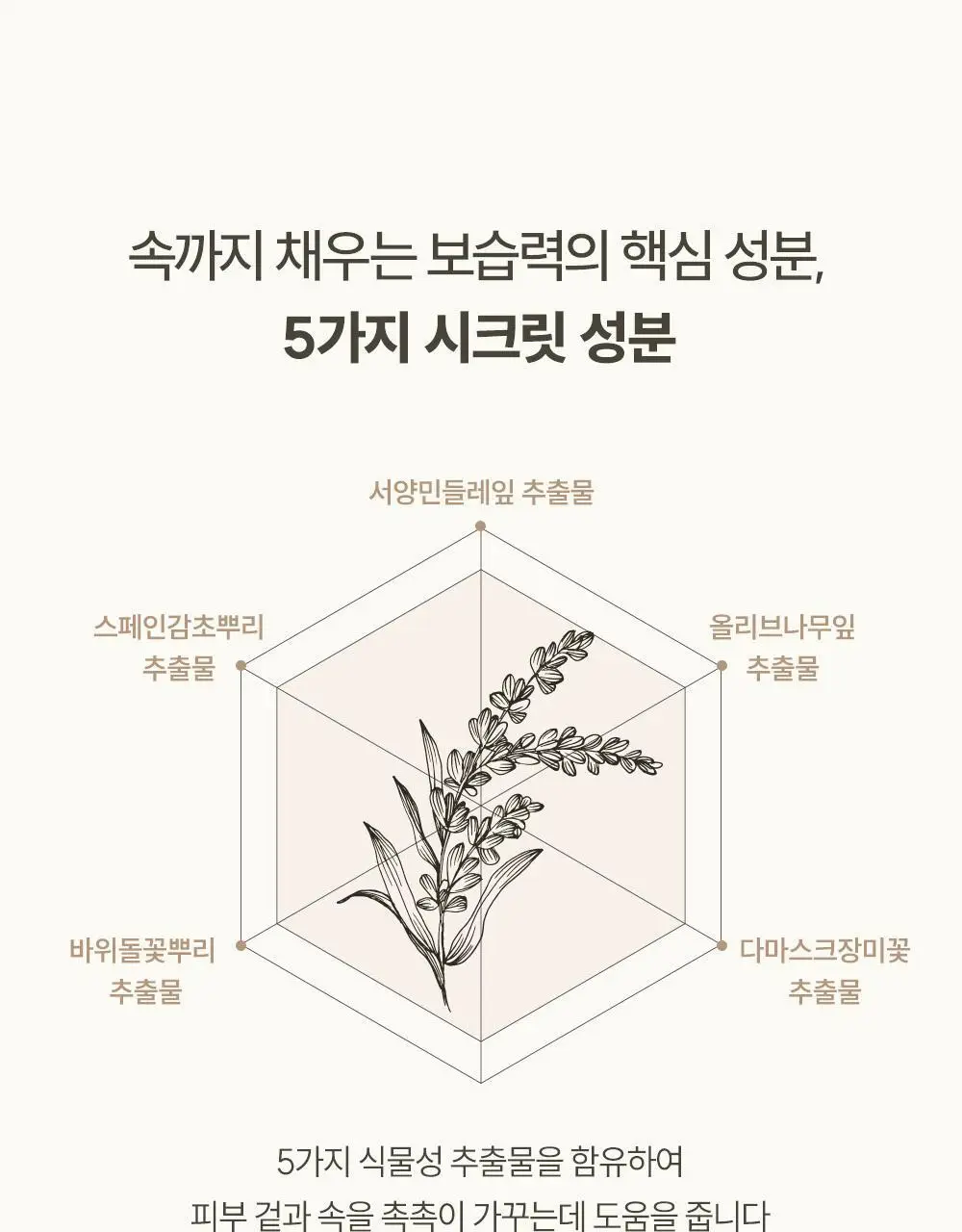 아르투아 라튤립 향수 바디로션 140ml 상세페이지 5