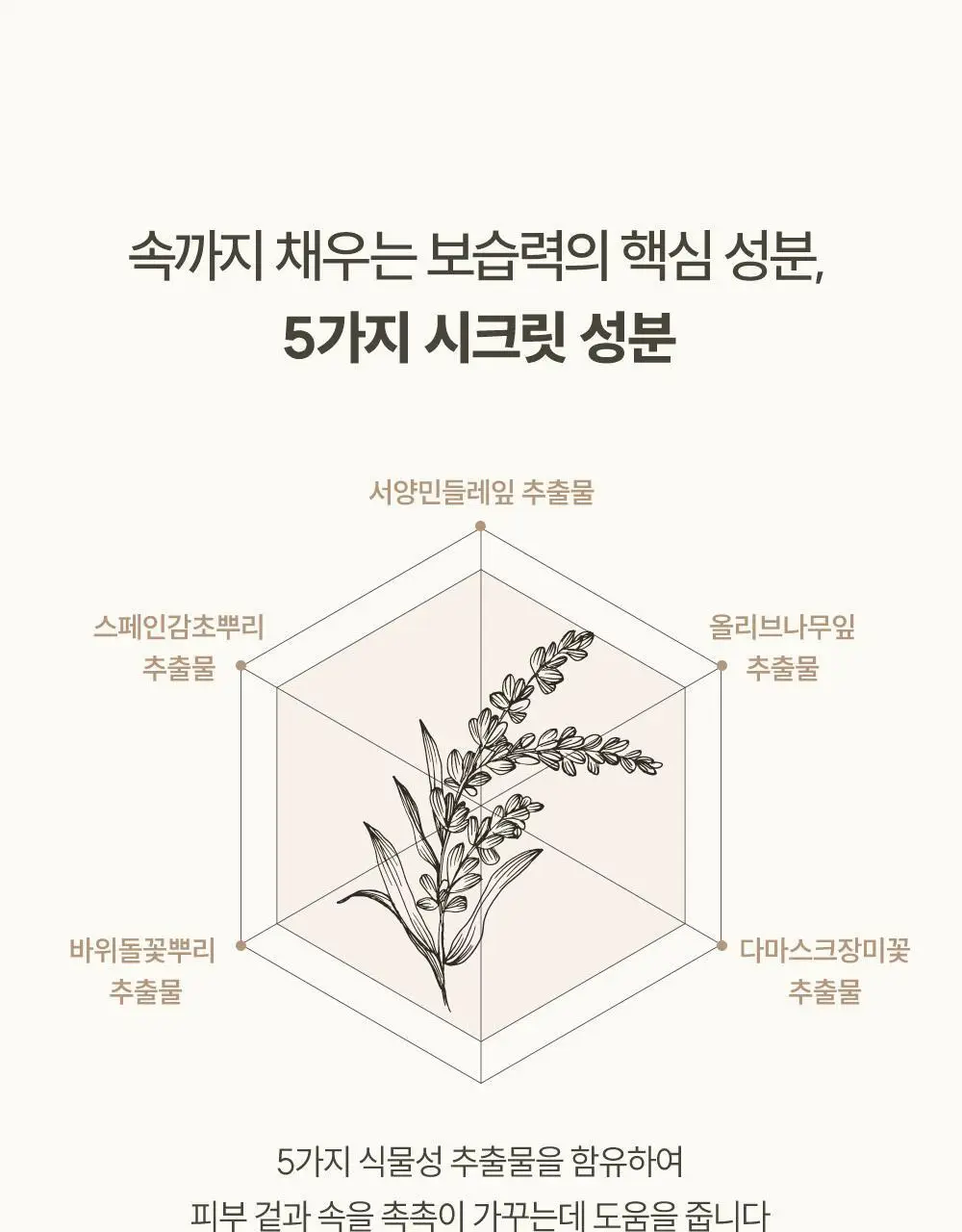 아르투아 조 향수 바디로션 140ml 상세페이지 5