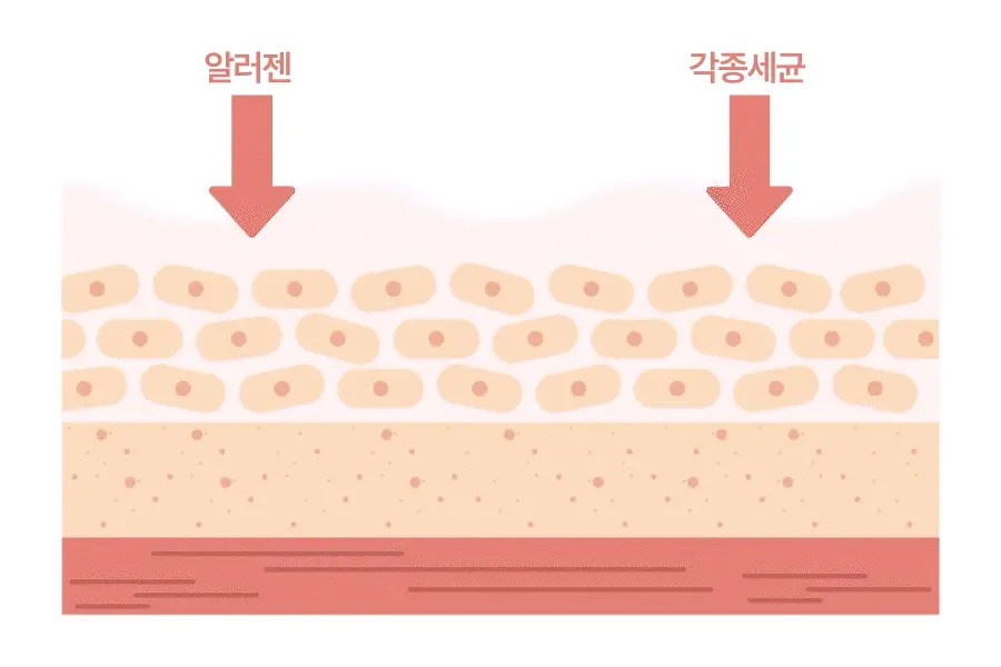 아토앤오투 옥시젠 로션 160g 상세페이지 2