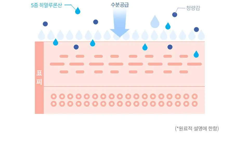 아토앤오투 옥시젠 수딩젤 160gx2개 상세페이지 18