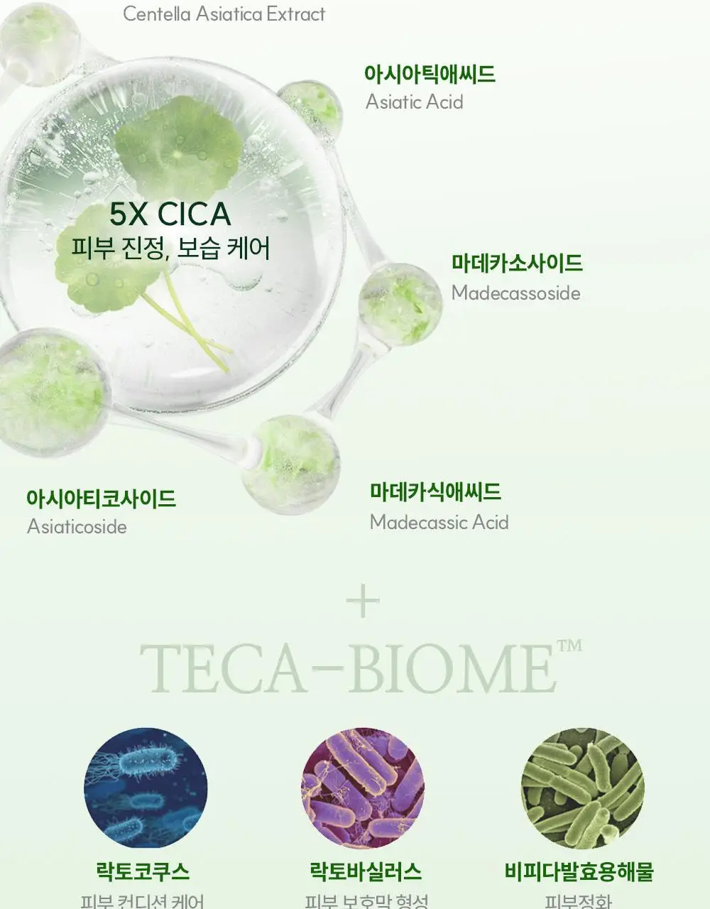 오프온 킵 캄 앤드 리페어 바디로션 300ml 상세페이지 30