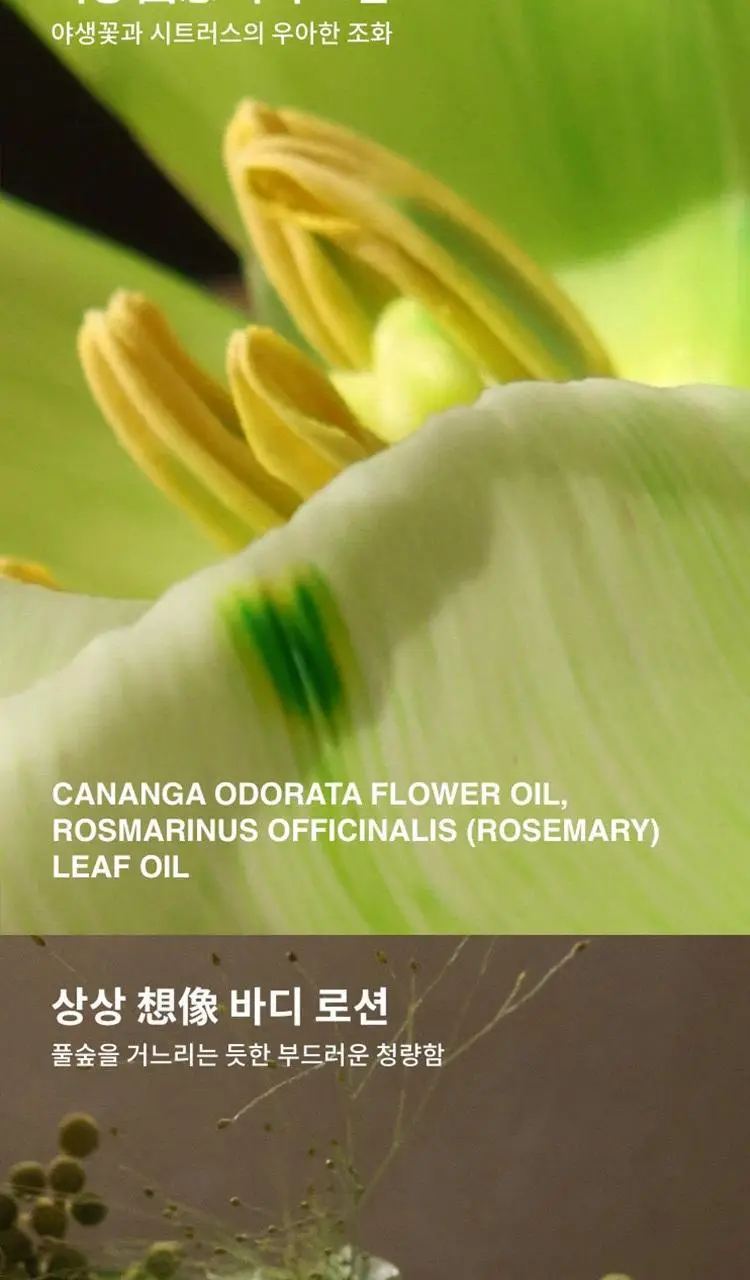 톤28 바디로션 샌달우드 300ml 상세페이지 5
