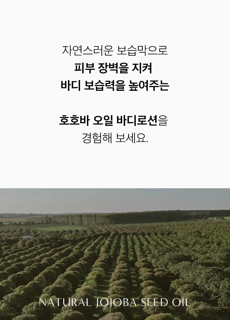 W.DRESSROOM 퍼퓸 바디로션 500ml 5종 택 1 상세페이지 3