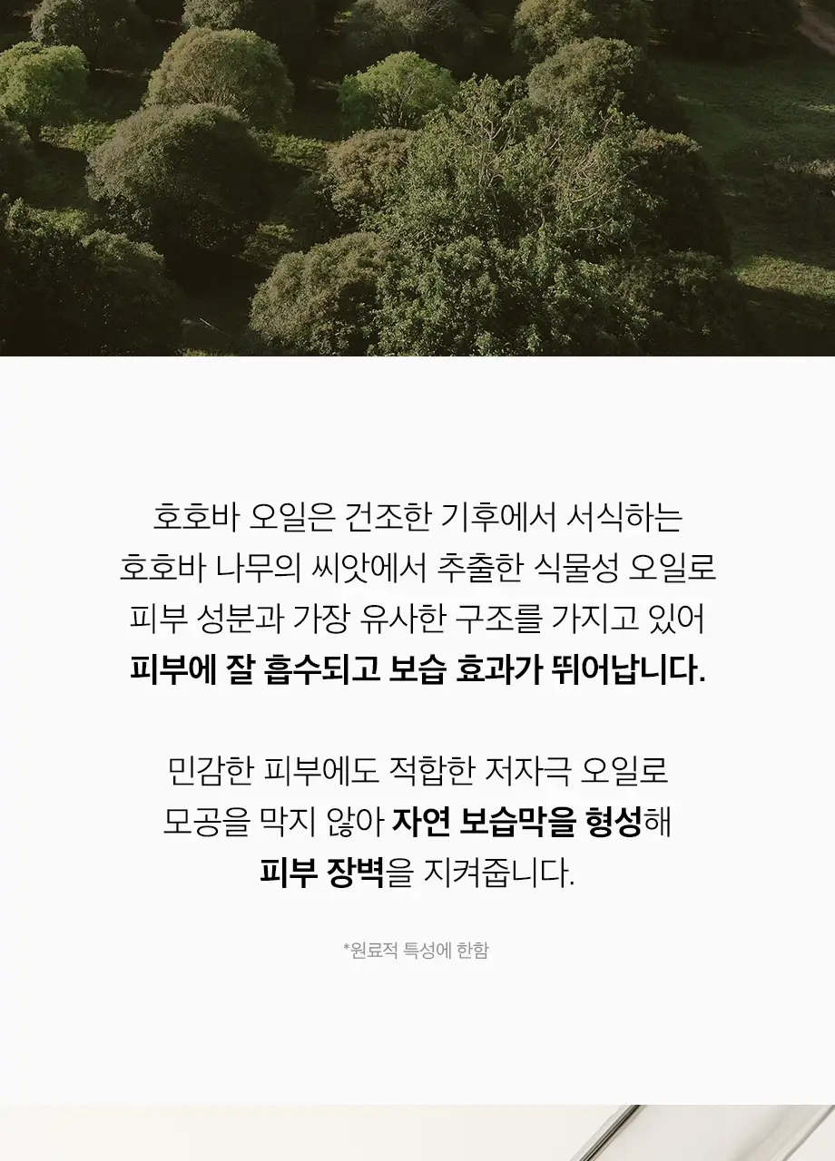 W.DRESSROOM 퍼퓸 바디로션 500ml 5종 택 1 상세페이지 4