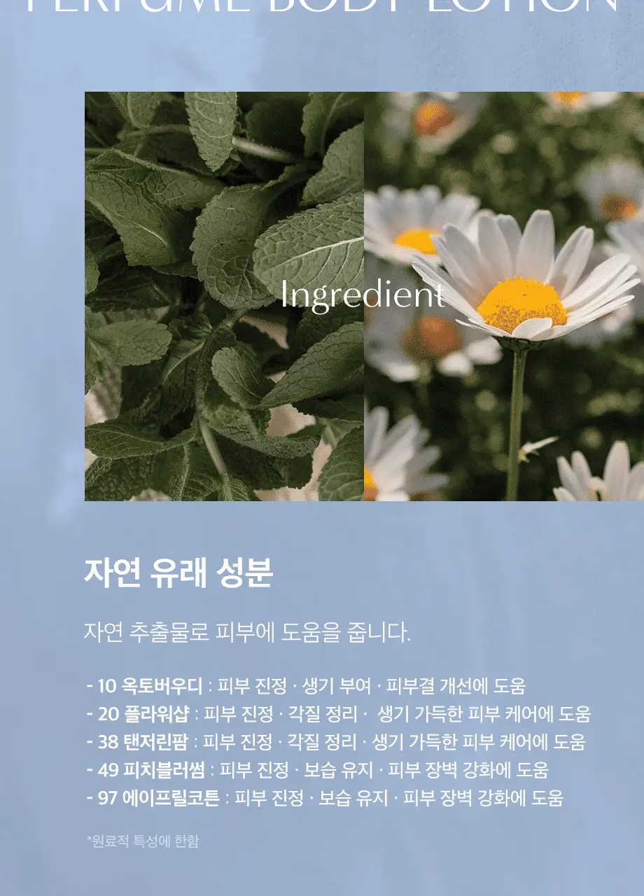 W.DRESSROOM 퍼퓸 바디로션 500ml 5종 택 1 상세페이지 13