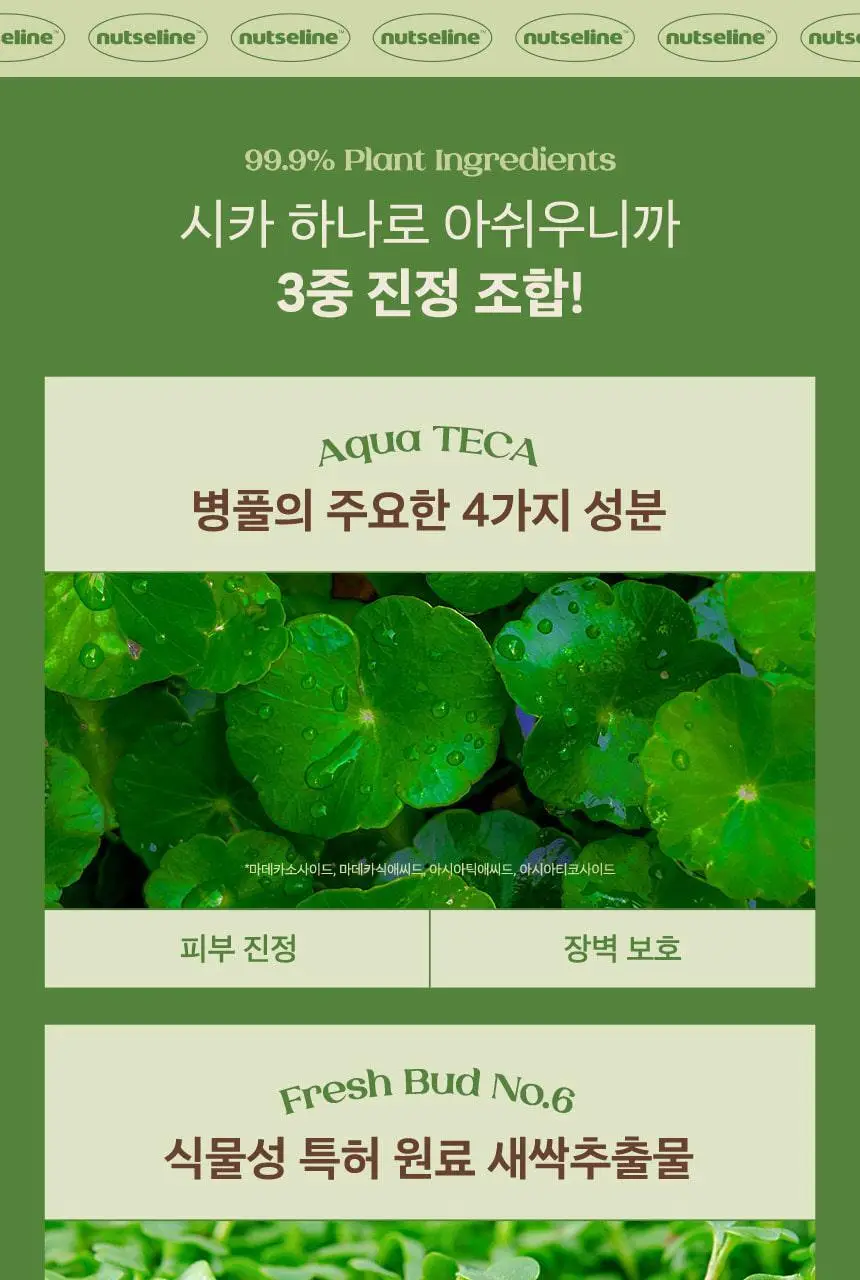 넛세린 시카 넛 카밍 밤 50ml 상세페이지 25
