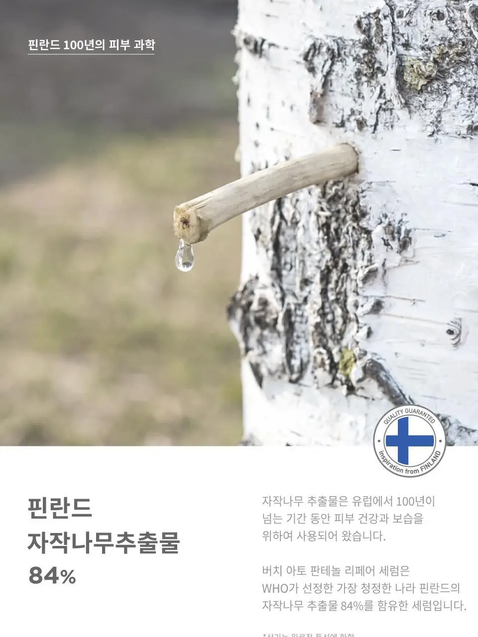 버치 아토 판테놀 리페어 세럼 더블세트 상세페이지 8