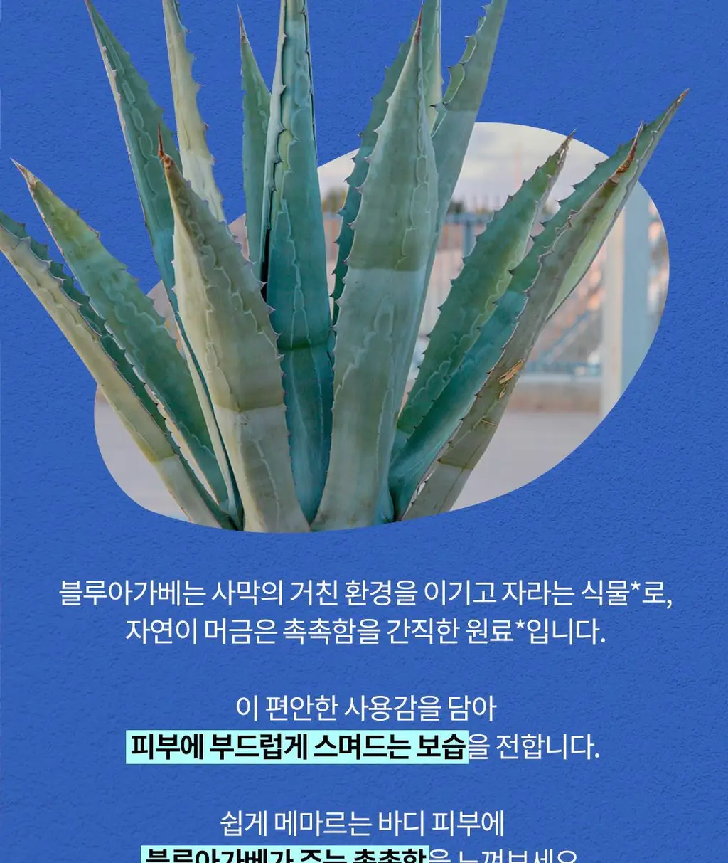 스카이보틀 블루아가베 고보습 무향 바디버터 290ml 상세페이지 4