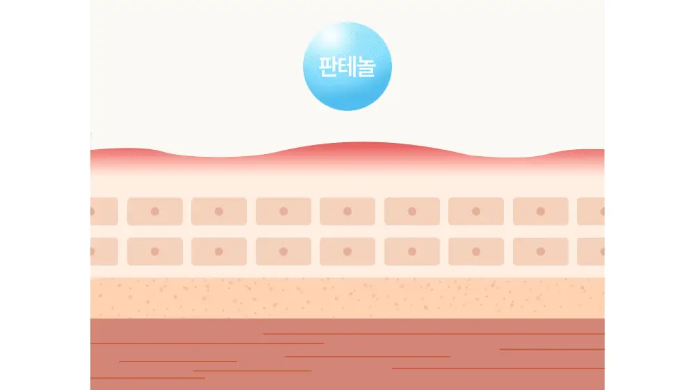 아토팜 판테놀 스틱밤 10g 상세페이지 18