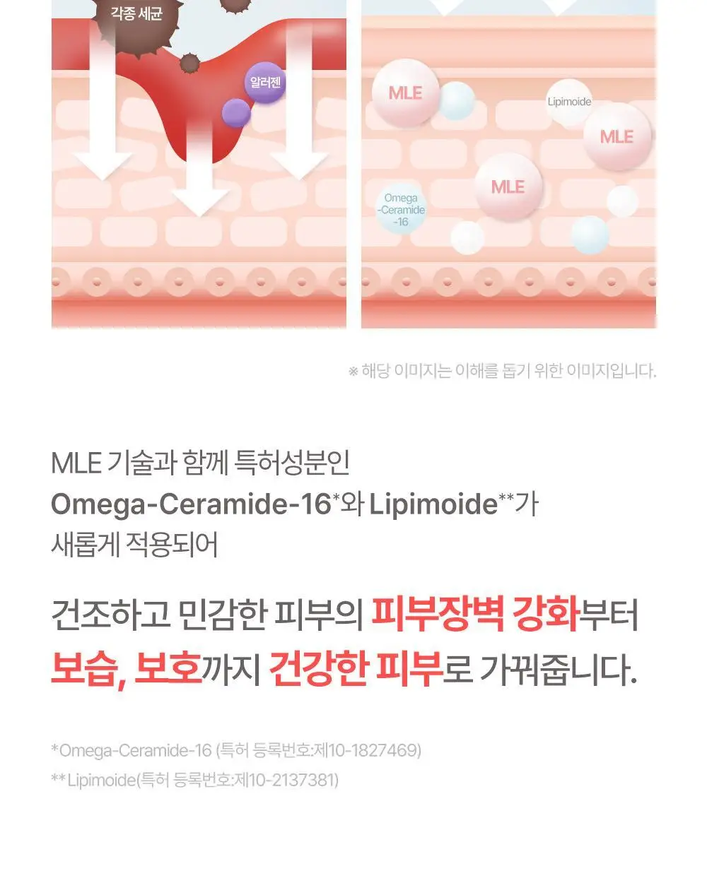 아토팜 MLE 크림 100ml 단품/기획 택1 상세페이지 25