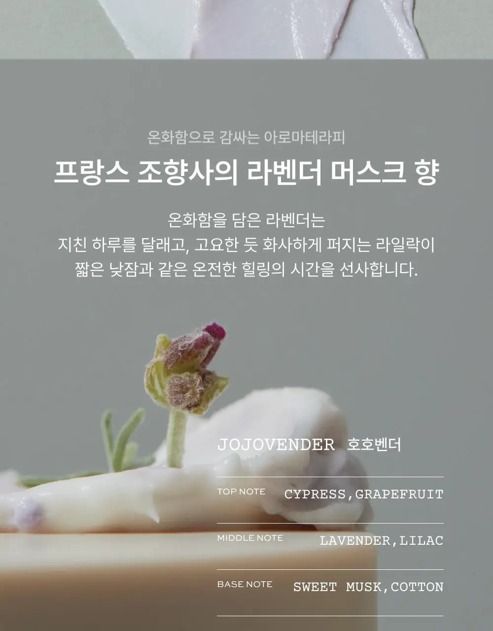 휩드 비건 토핑 바디버터 190g 단품/스프레드 증정 기획 (3종 중 택1) 상세페이지 31