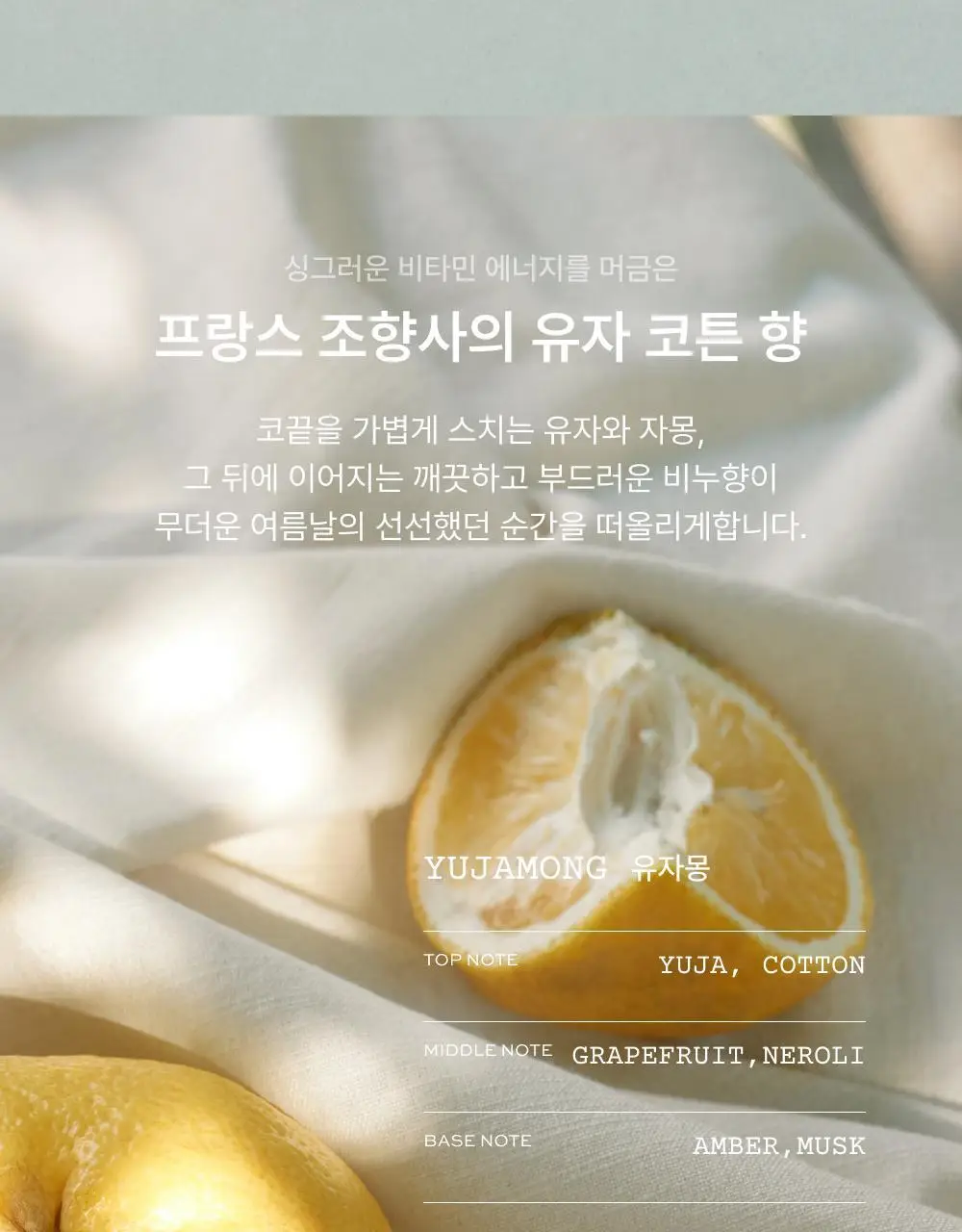 휩드 비건 토핑 바디버터 190g 단품/스프레드 증정 기획 (3종 중 택1) 상세페이지 43