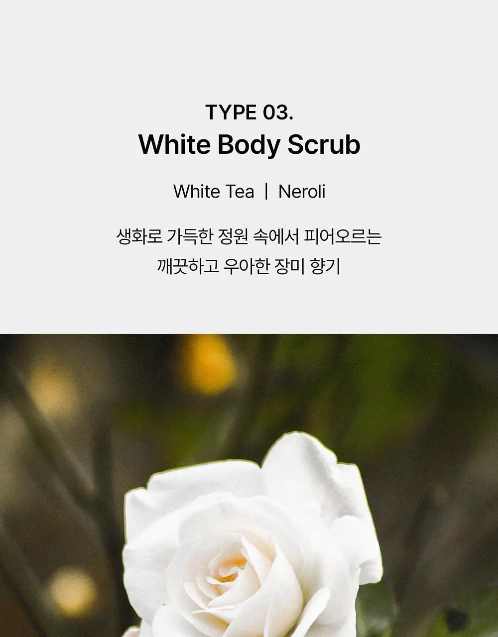 아렌시아 프레시 클라우드 바디&스칼프 스크럽 260g (5종 중 택1) 상세페이지 21