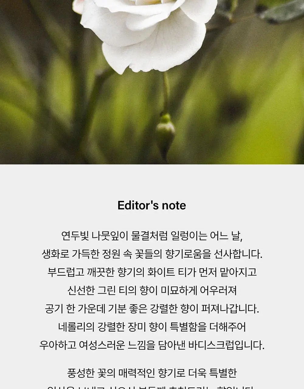 아렌시아 프레시 클라우드 바디&스칼프 스크럽 260g (5종 중 택1) 상세페이지 22