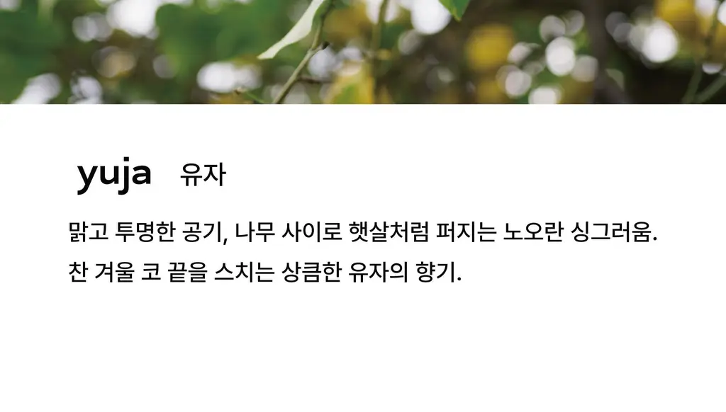 아르베 유자 글로우 바디 스크럽 200g 상세페이지 6