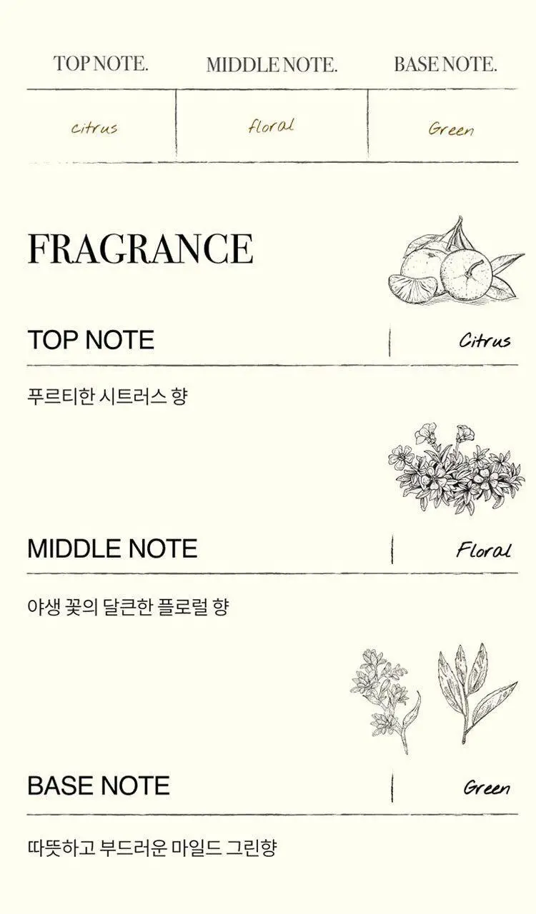 톤28 바디 스크럽 워시 300ml 2종 택1 (샌달우드/일랑일랑) 상세페이지 13