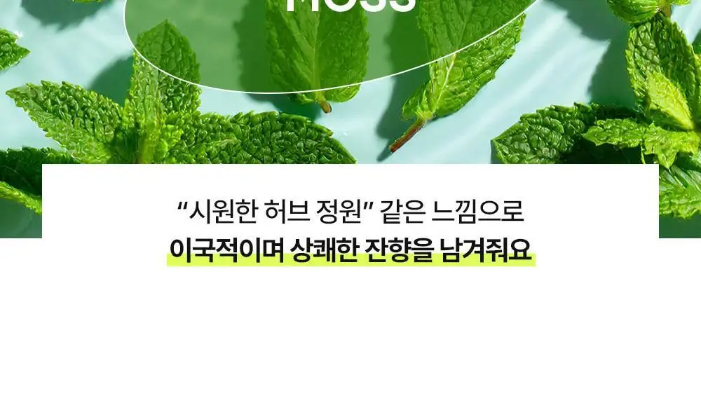 더마비 데오 프레쉬 쿨 샤워타월 5매입 상세페이지 38
