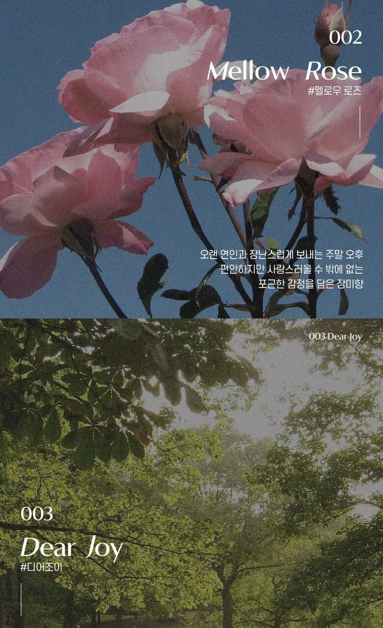 라운드어라운드 컬러풀 무드 버블 배쓰밤 상세페이지 8